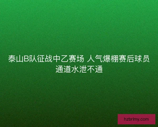 泰山B队征战中乙赛场 人气爆棚赛后球员通道水泄不通